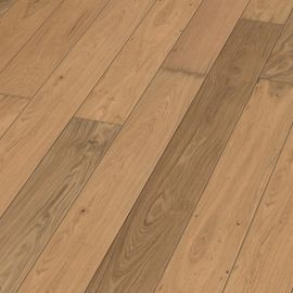 Oak No 11 - Salisbury